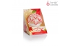 Christmas Flower figure 70 box