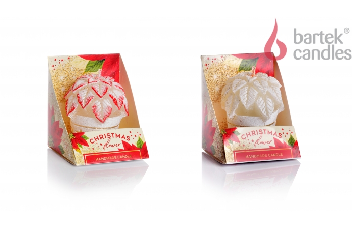 Christmas Flower figure 70 box