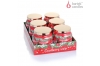 Cranberry Snow with lid 450 g